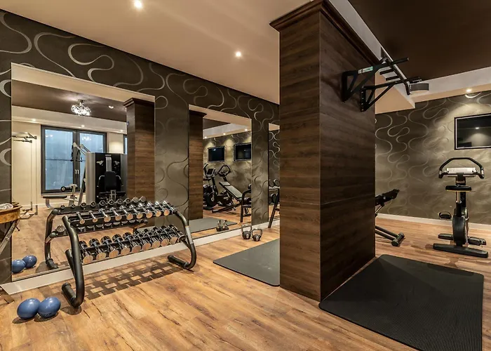 Ingolstadt Hoteles Spa