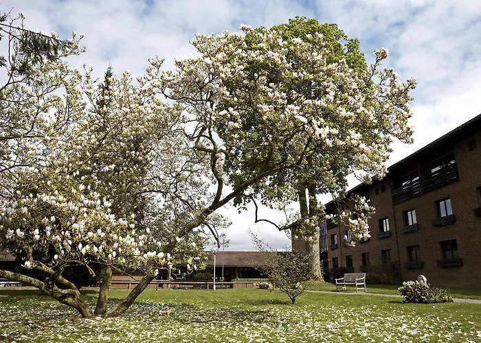 Vejle Wellness Ophold
