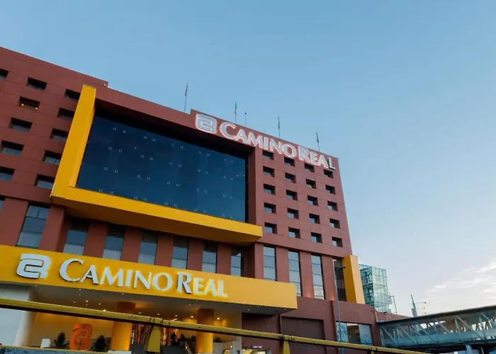 Mexico City Wellness Ophold