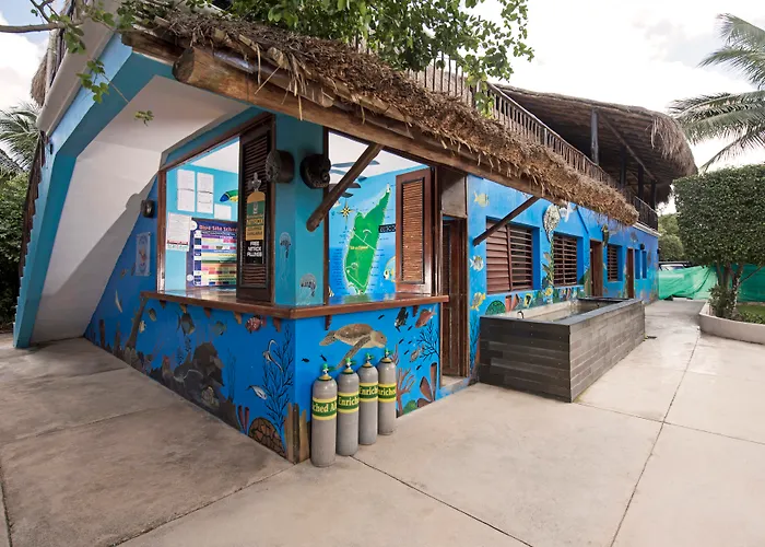 Wellness Hotels in Cozumel