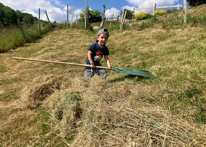 Hotels met Jacuzzi in La Bresse
