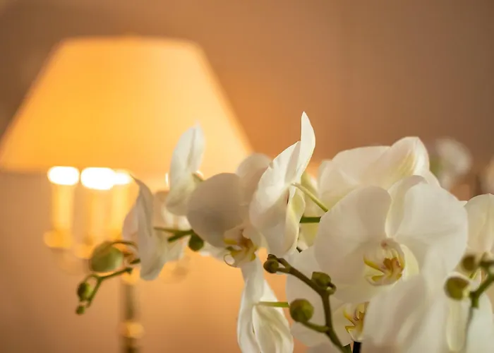 Hotels met Jacuzzi in Salzburg