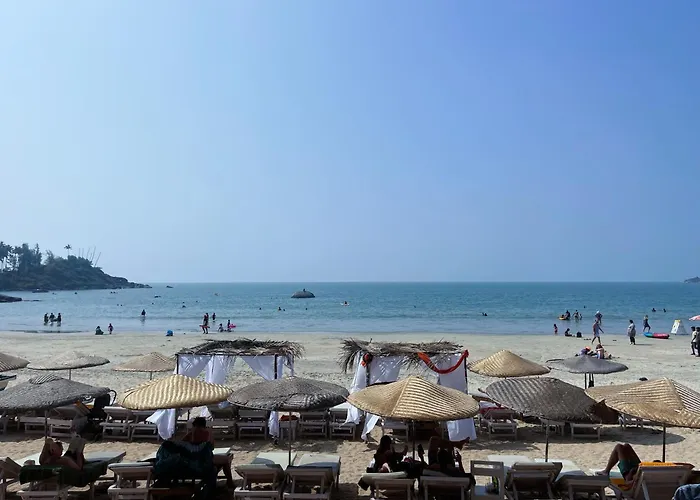 Wellness Hotels in Palolem