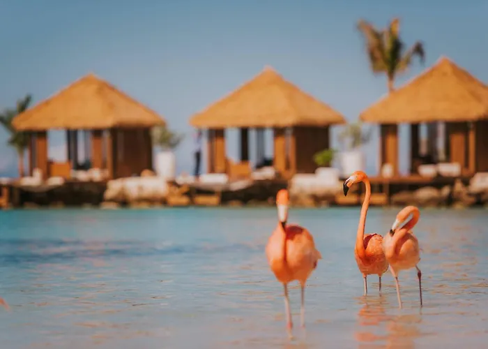 Hôtels avec Jacuzzi à Oranjestad