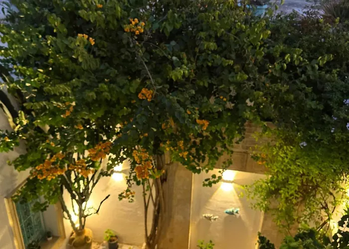 Hotels met Jacuzzi in Mahdia