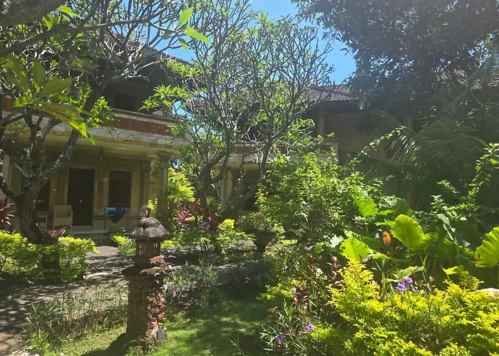 Wellness Hotels in Lovina