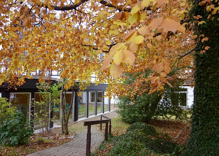 Wellness Hotels in Bad Harzburg