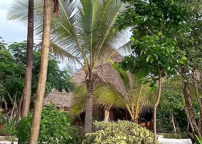 Hôtels Spa à Kiwengwa (Zanzibar)