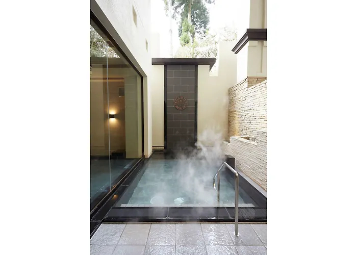 Wellness Hotels in Hakone