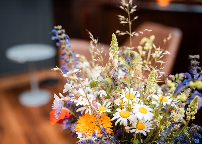 Volkach Wellnesshotels