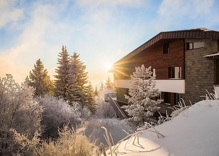 Wellness Hotels in Vitosha